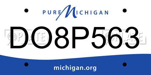 DO8P563 Michigan License Plate