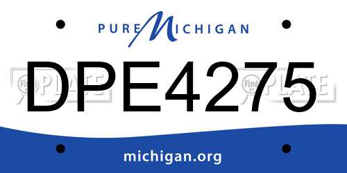 DPE4275 Michigan License Plate