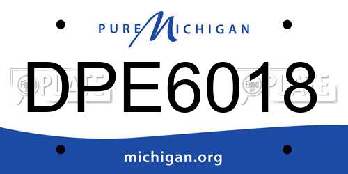DPE6018 Michigan License Plate