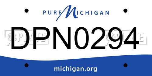 DPN0294 Michigan License Plate