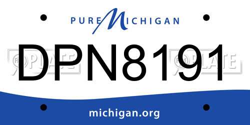 DPN8191 Michigan License Plate