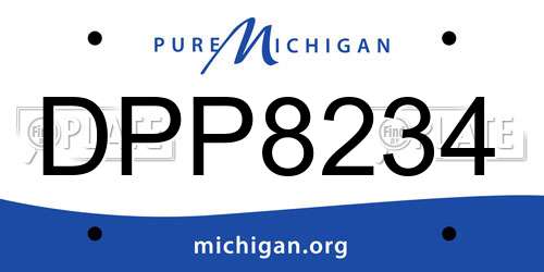 DPP8234 Michigan License Plate