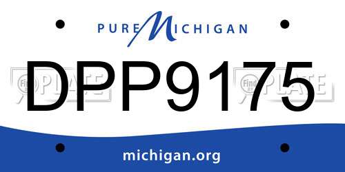 DPP9175 Michigan License Plate