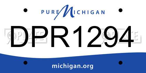 DPR1294 Michigan License Plate