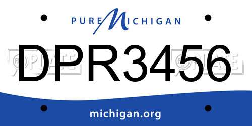 DPR3456 Michigan License Plate