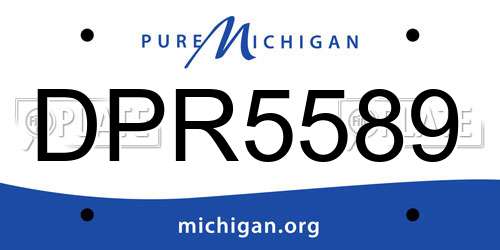 DPR5589 Michigan License Plate