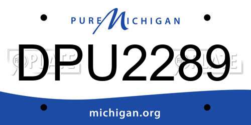 DPU2289 Michigan License Plate