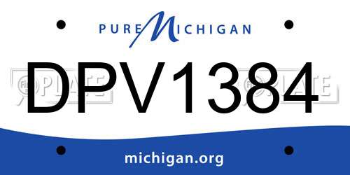 DPV1384 Michigan License Plate