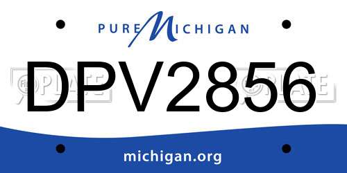 DPV2856 Michigan License Plate