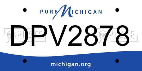 DPV2878 Michigan License Plate
