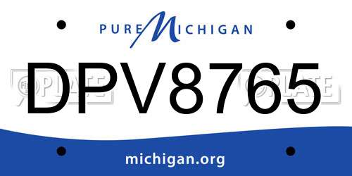 DPV8765 Michigan License Plate