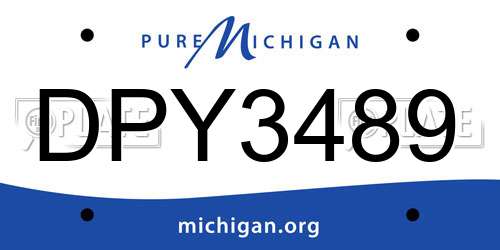 DPY3489 Michigan License Plate