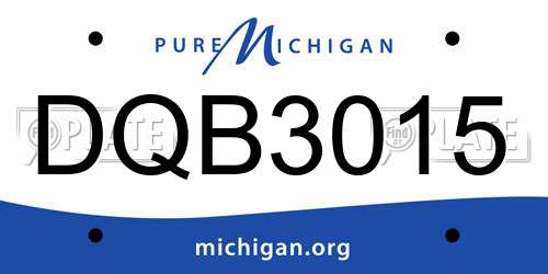 DQB3015 Michigan License Plate