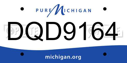 DQD9164 Michigan License Plate