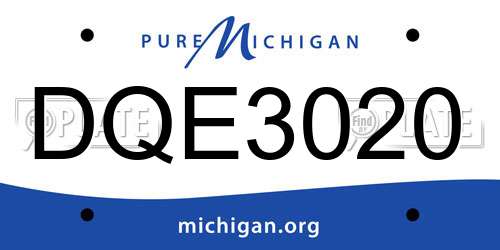 DQE3020 Michigan License Plate