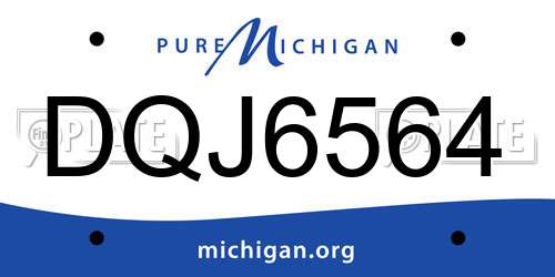 DQJ6564 Michigan License Plate