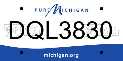 DQL3830 Michigan License Plate