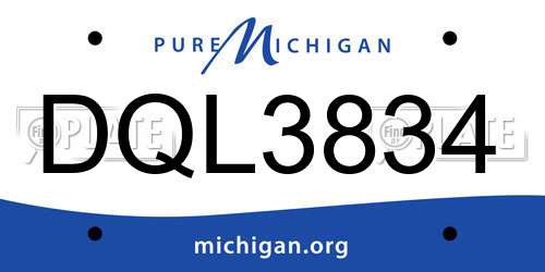 DQL3834 Michigan License Plate