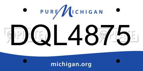 DQL4875 Michigan License Plate