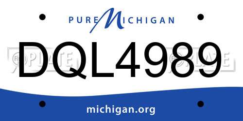 DQL4989 Michigan License Plate