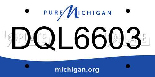 DQL6603 Michigan License Plate