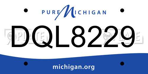 DQL8229 Michigan License Plate