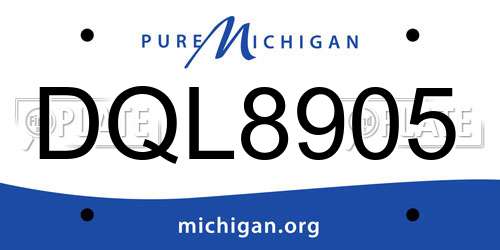 DQL8905 Michigan License Plate