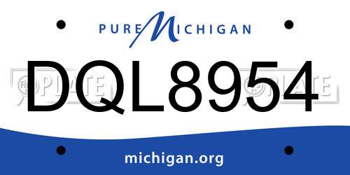DQL8954 Michigan License Plate