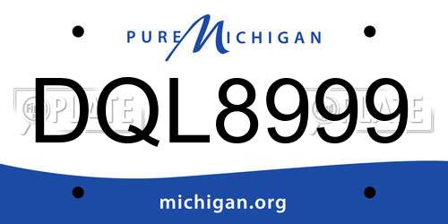 DQL8999 Michigan License Plate