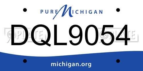 DQL9054 Michigan License Plate