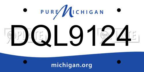 DQL9124 Michigan License Plate