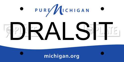 DRALSIT Michigan License Plate