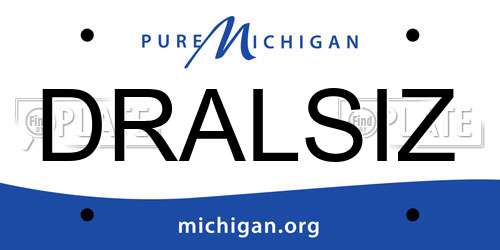 DRALSIZ Michigan License Plate