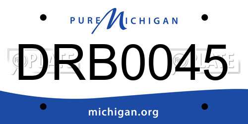 DRB0045 Michigan License Plate