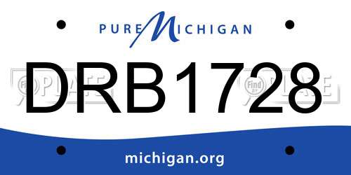DRB1728 Michigan License Plate