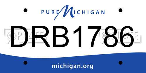 DRB1786 Michigan License Plate