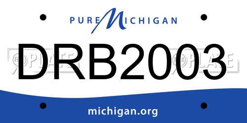 DRB2003 Michigan License Plate