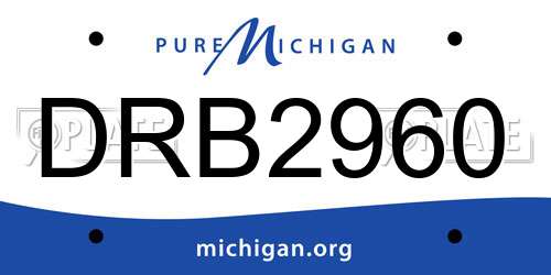 DRB2960 Michigan License Plate