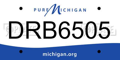 DRB6505 Michigan License Plate