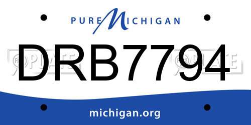 DRB7794 Michigan License Plate
