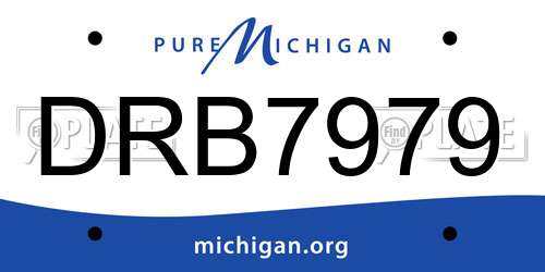 DRB7979 Michigan License Plate