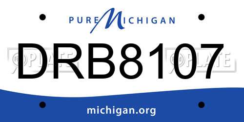 DRB8107 Michigan License Plate