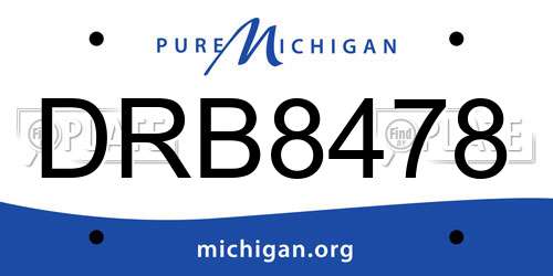 DRB8478 Michigan License Plate
