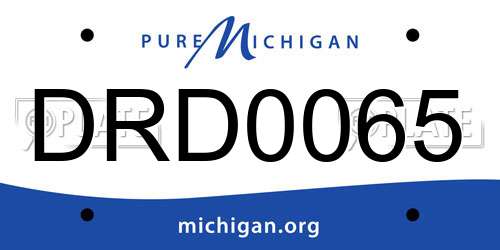 DRD0065 Michigan License Plate