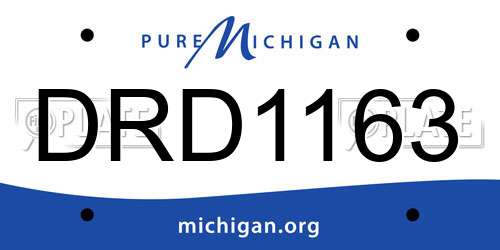 DRD1163 Michigan License Plate