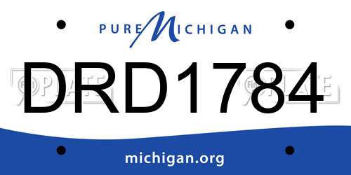 DRD1784 Michigan License Plate