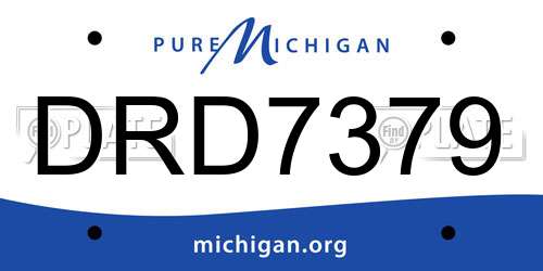 DRD7379 Michigan License Plate