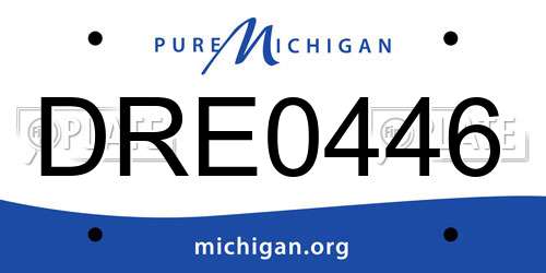 DRE0446 Michigan License Plate