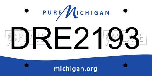 DRE2193 Michigan License Plate