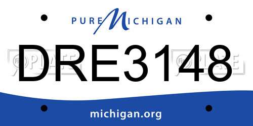 DRE3148 Michigan License Plate